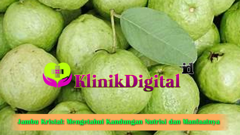 Jambu Kristal: Mengetahui Kandungan Nutrisi dan Manfaatnya