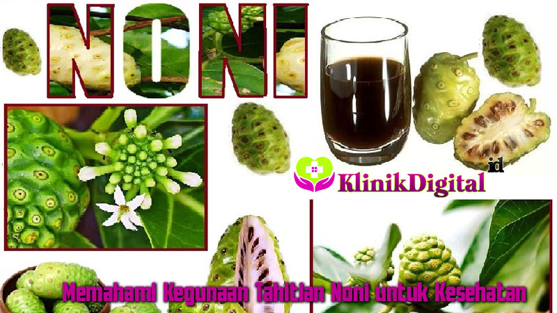 Memahami Kegunaan Tahitian Noni untuk Kesehatan