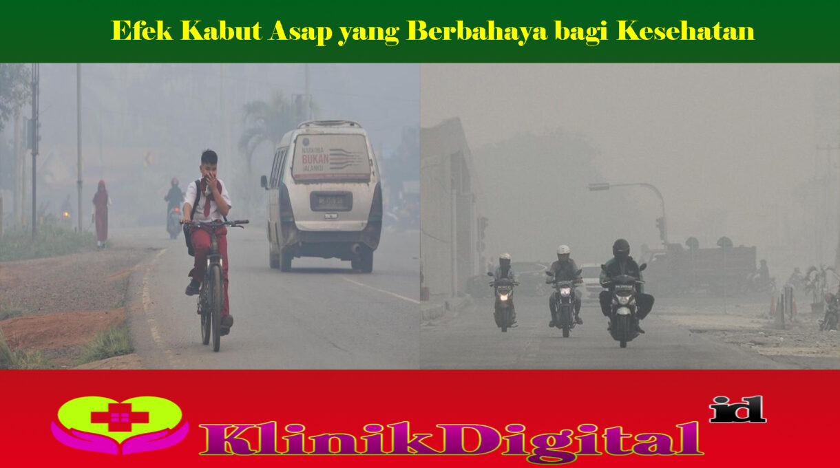 Efek Kabut Asap yang Berbahaya bagi Kesehatan