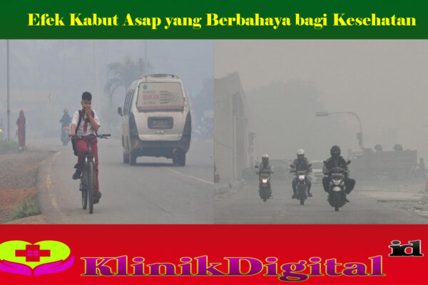 Efek Kabut Asap yang Berbahaya bagi Kesehatan