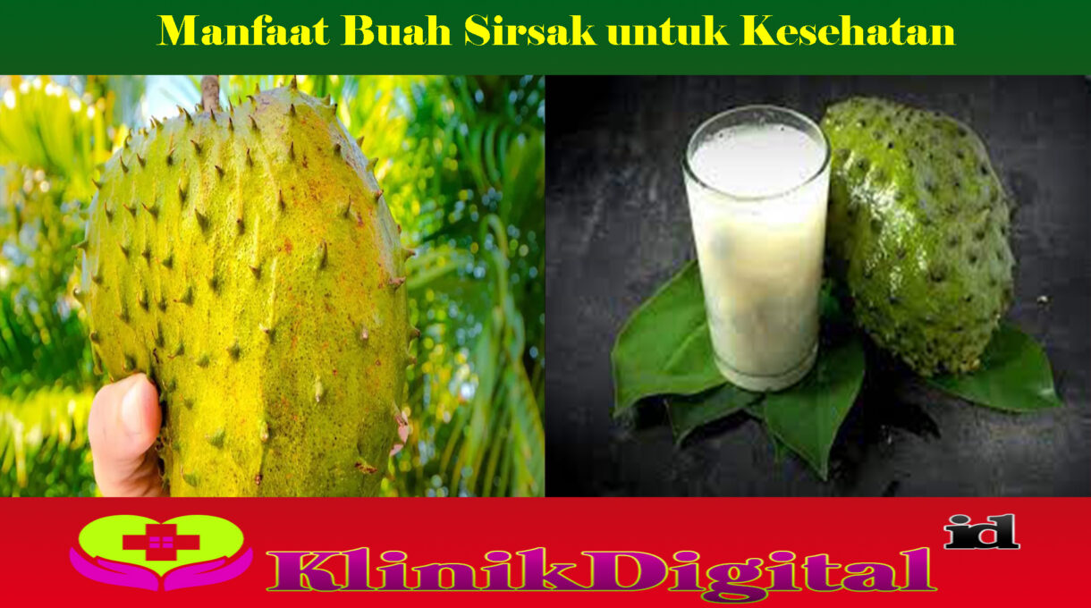 Manfaat Buah Sirsak untuk Kesehatan   