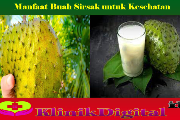 Manfaat Buah Sirsak untuk Kesehatan   