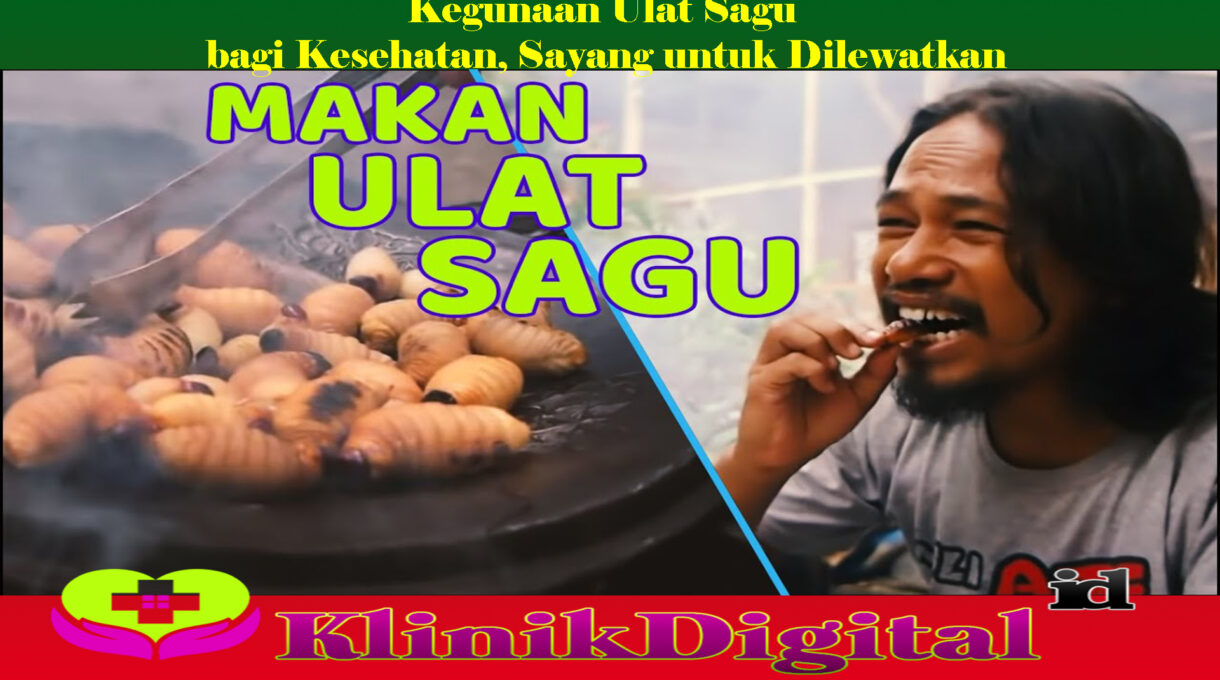 Kegunaan Ulat Sagu bagi Kesehatan, Sayang untuk Dilewatkan