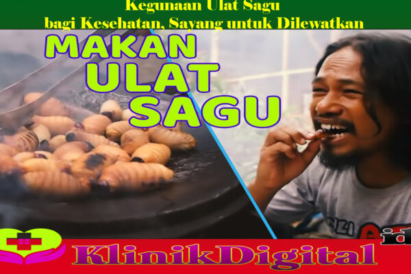 Kegunaan Ulat Sagu bagi Kesehatan, Sayang untuk Dilewatkan