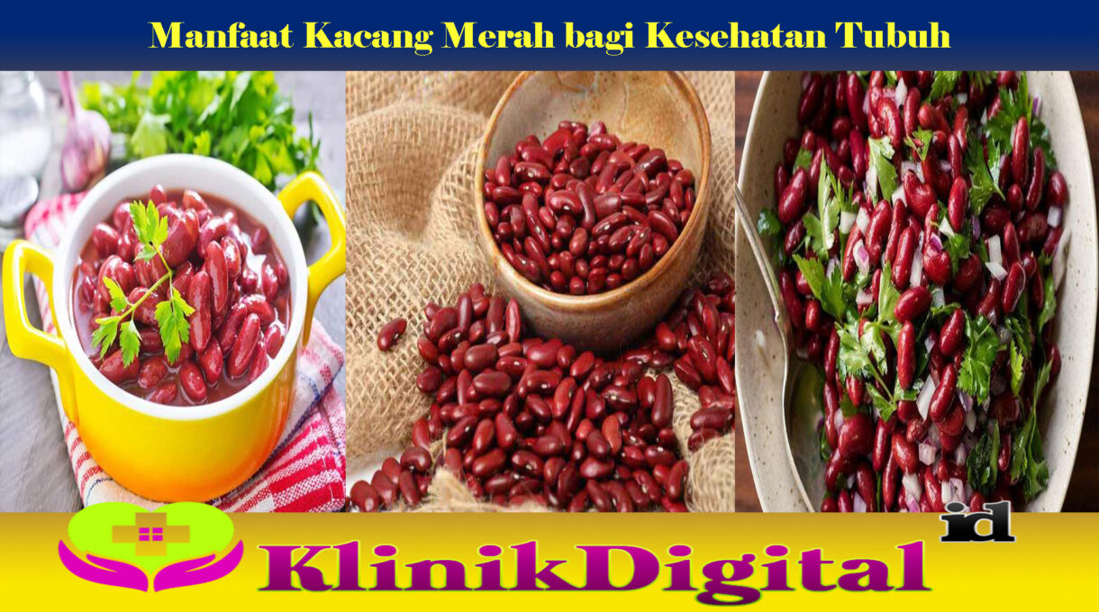 Manfaat Kacang Merah bagi Kesehatan Tubuh