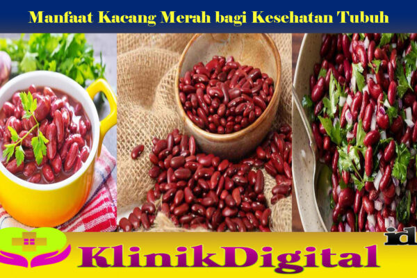 Manfaat Kacang Merah bagi Kesehatan Tubuh