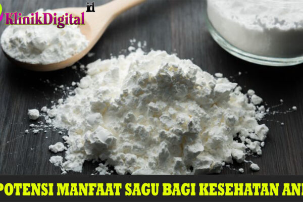 4 Potensi Manfaat Sagu bagi Kesehatan Anda