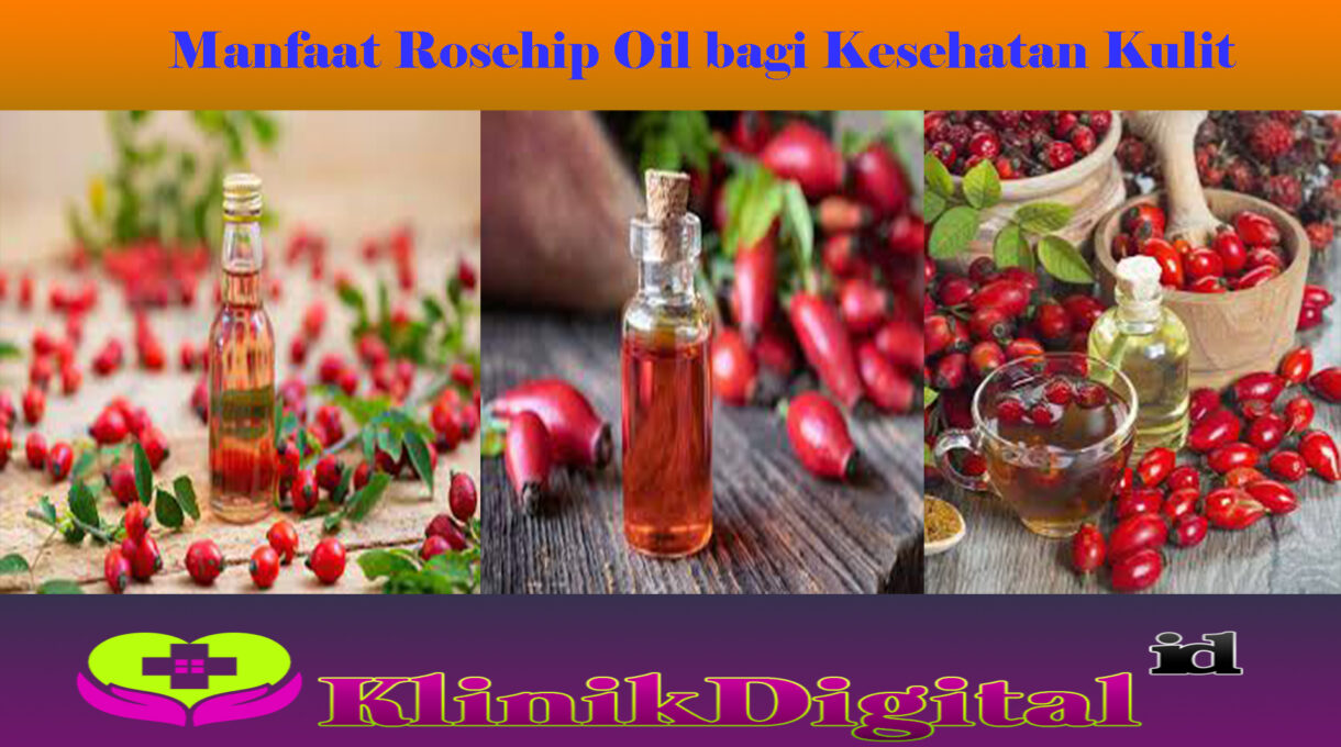 Manfaat Rosehip Oil bagi Kesehatan Kulit