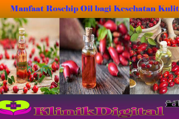 Manfaat Rosehip Oil bagi Kesehatan Kulit