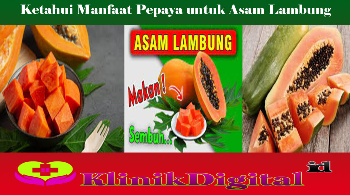 Ketahui Manfaat Pepaya untuk Asam Lambung