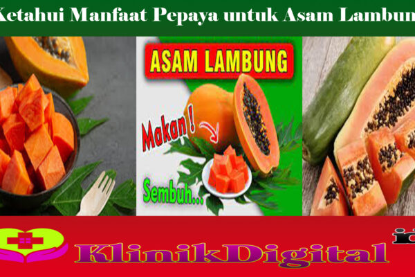 Ketahui Manfaat Pepaya untuk Asam Lambung