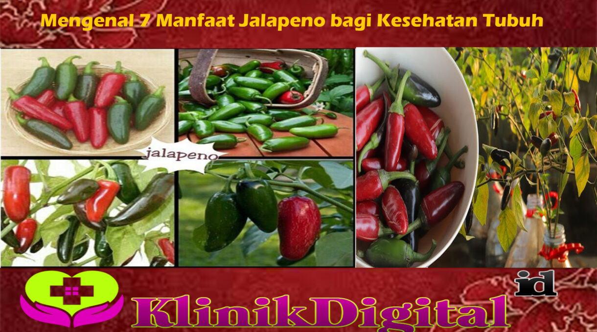 Mengenal 7 Manfaat Jalapeno bagi Kesehatan Tubuh