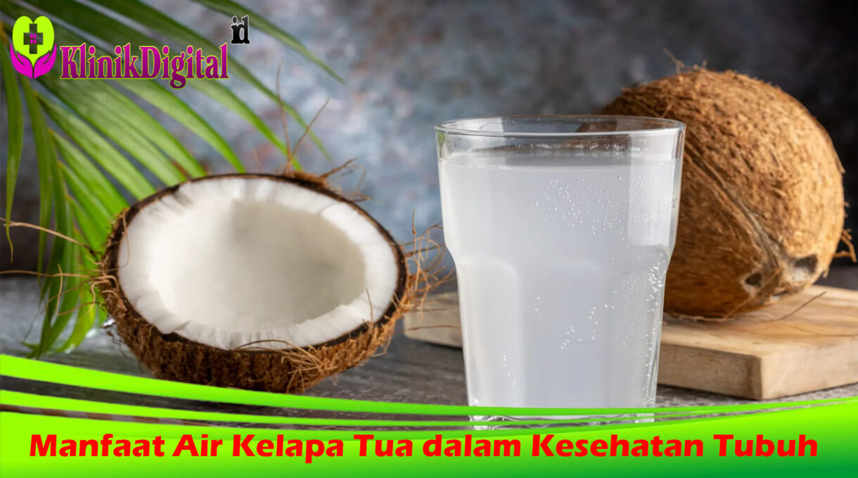 10 Manfaat Air Kelapa Tua dalam Kesehatan Tubuh