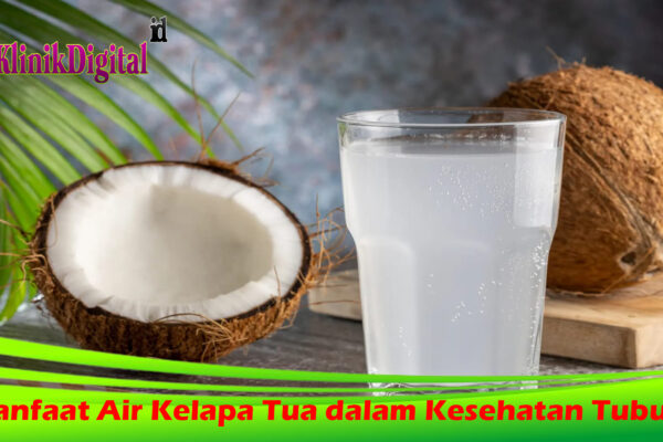 10 Manfaat Air Kelapa Tua dalam Kesehatan Tubuh