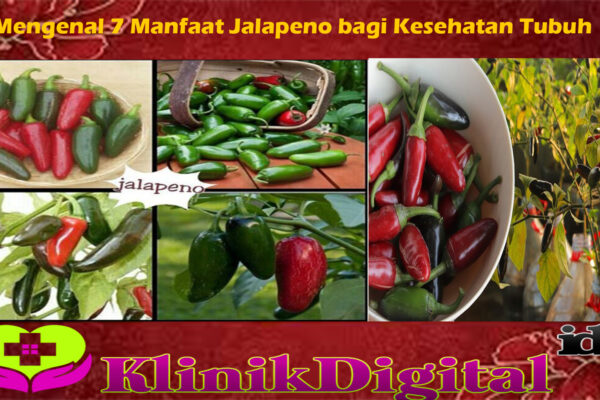 Mengenal 7 Manfaat Jalapeno bagi Kesehatan Tubuh