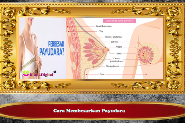 Cara Membesarkan Payudara