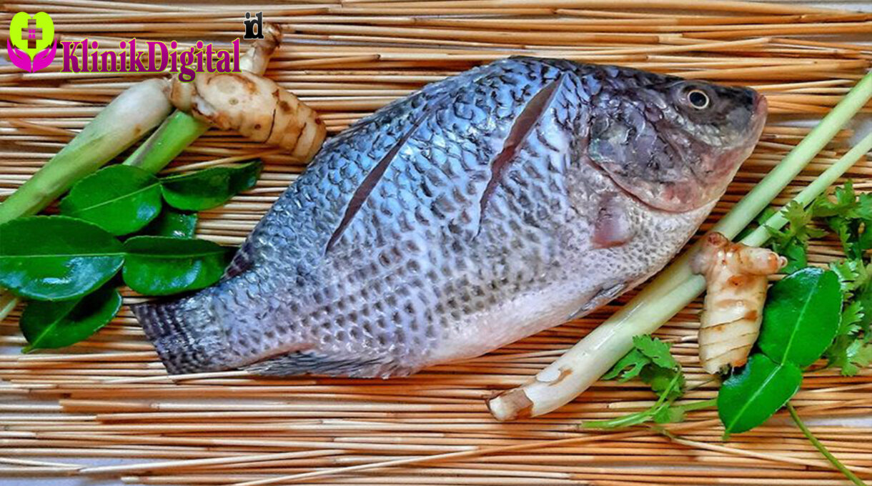 Manfaat Ikan Nila untuk Kesehatan