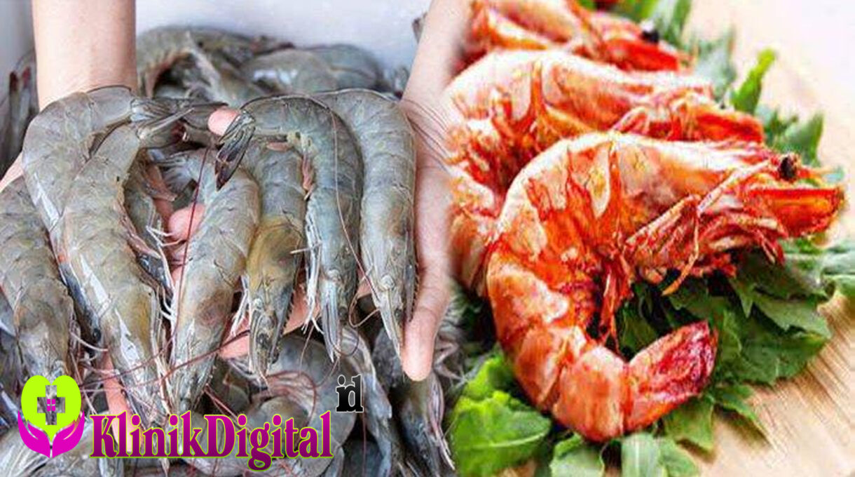 Jumlah Protein Udang dan Ragam Manfaatnya