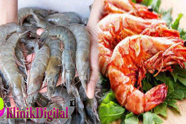 Jumlah Protein Udang dan Ragam Manfaatnya