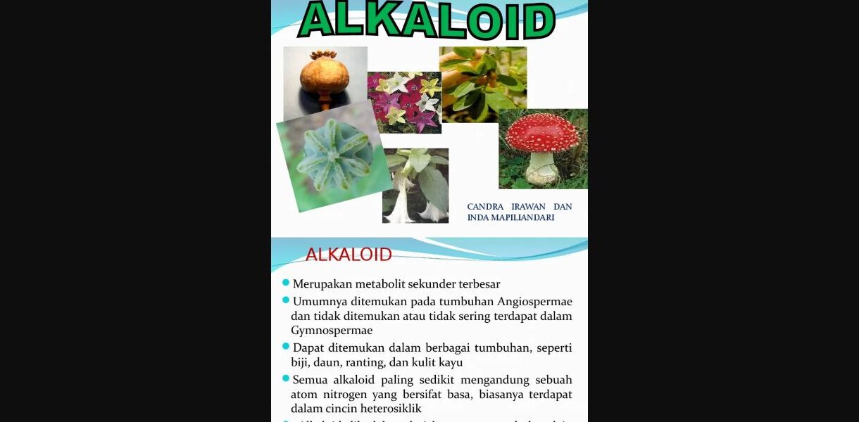 Manfaat Alkaloid pada Tubuh 