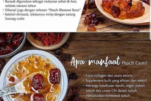 Manfaat Konsumsi Peach Gum