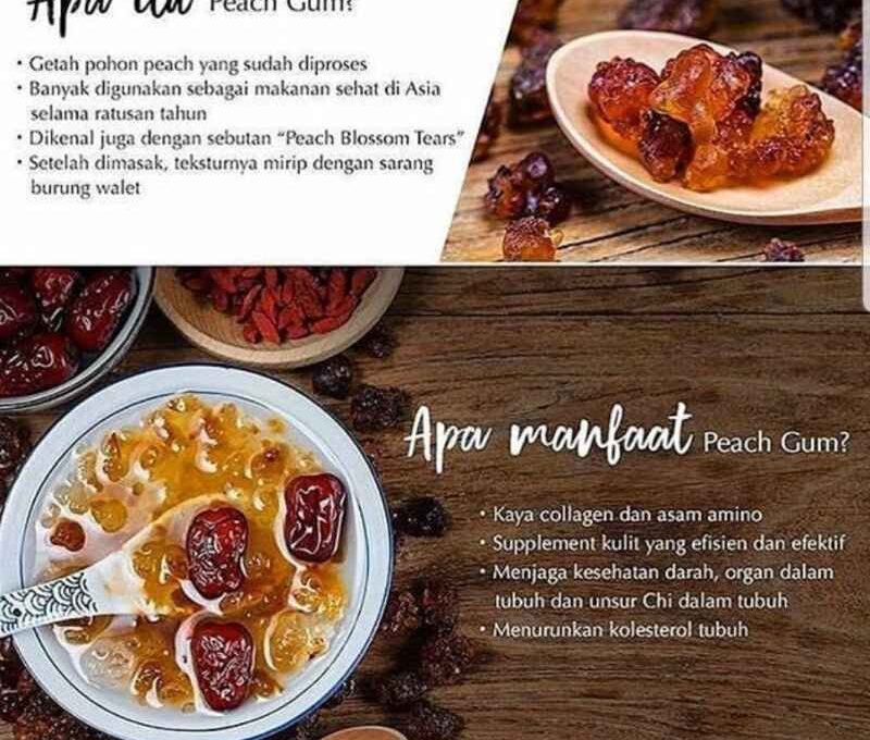 Manfaat Konsumsi Peach Gum